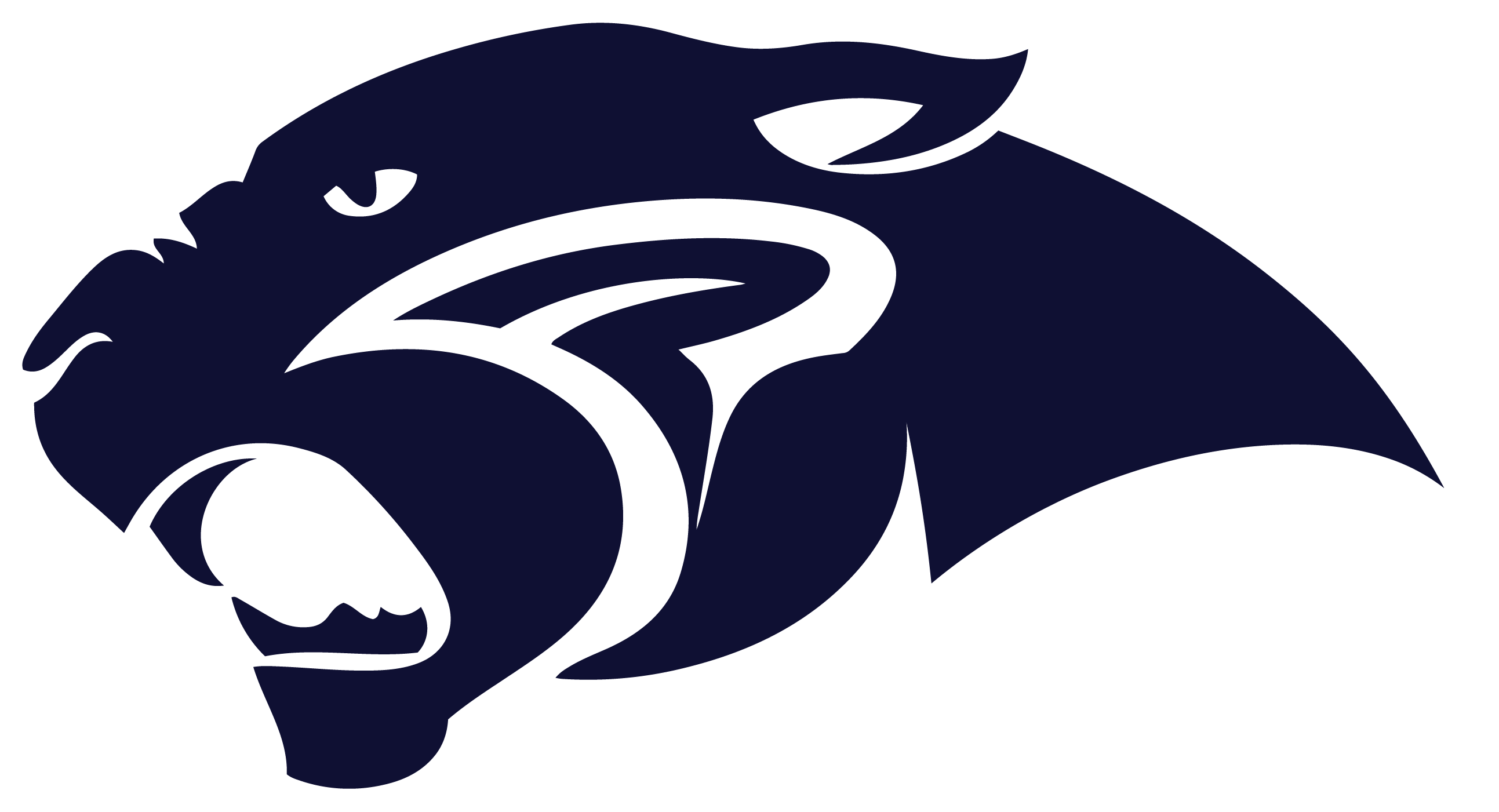 Pinckneyville logo