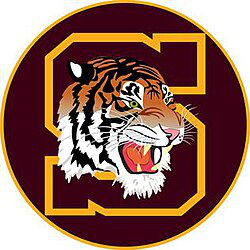 Soldan logo