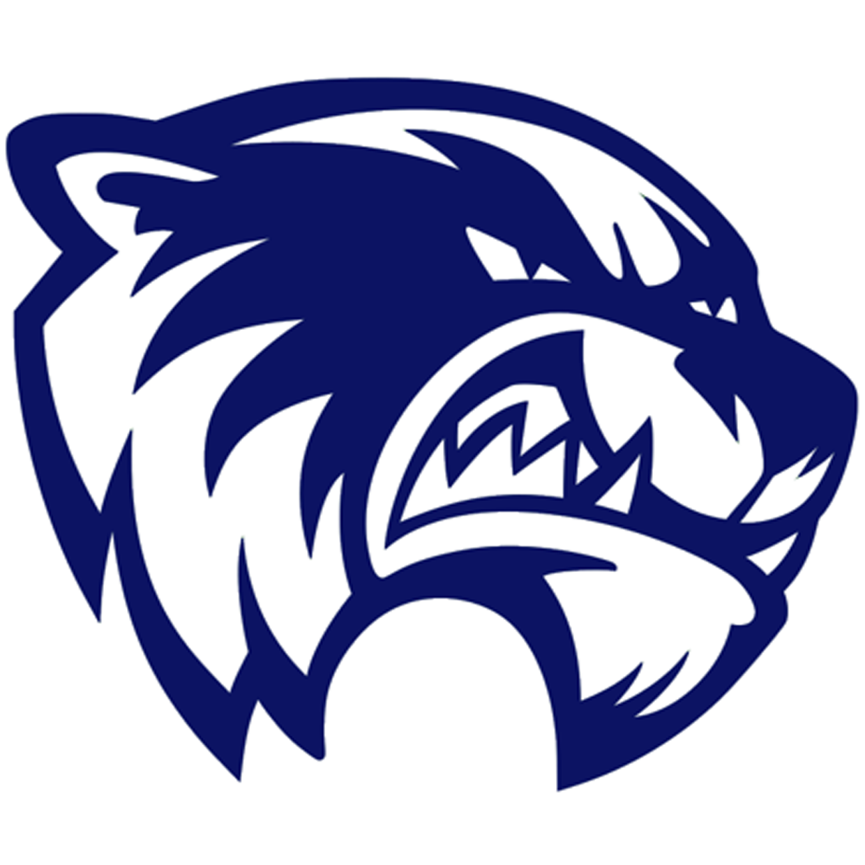 Vashon logo
